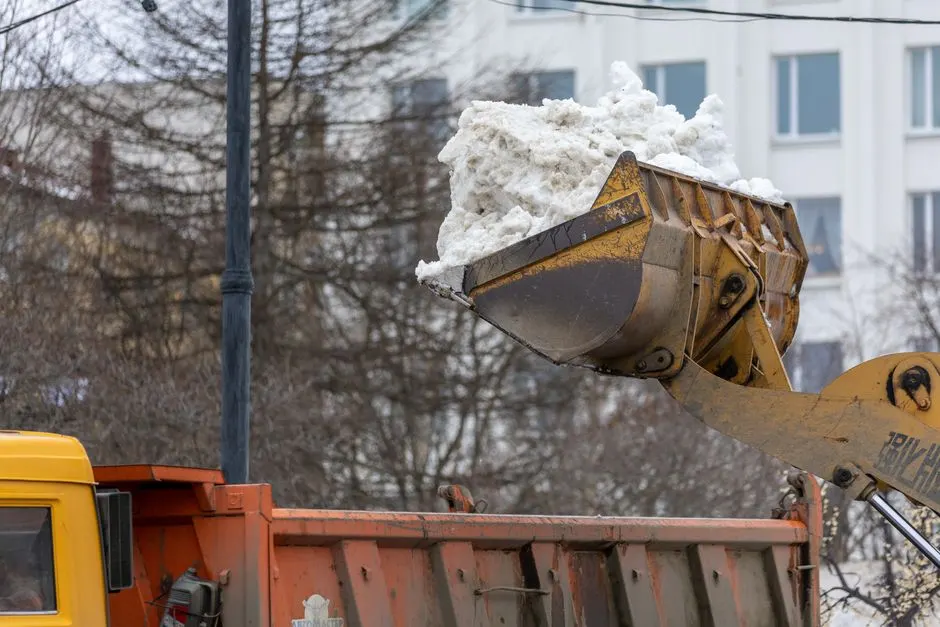 Spray foam removal near me for Scarborough homes